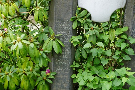 Bad Godesberg